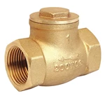 BRASS CHECK VALVE